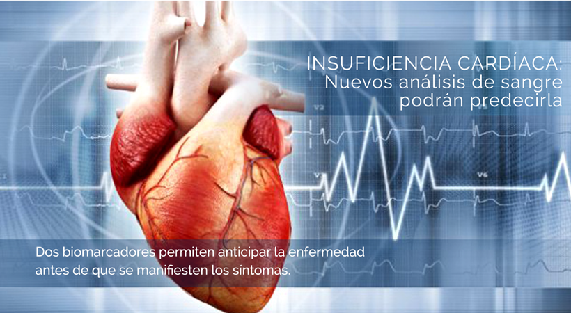 Img-insuficiencia-cardiaca-nuevos-analisis-de-sangre-podran-predecirla.png