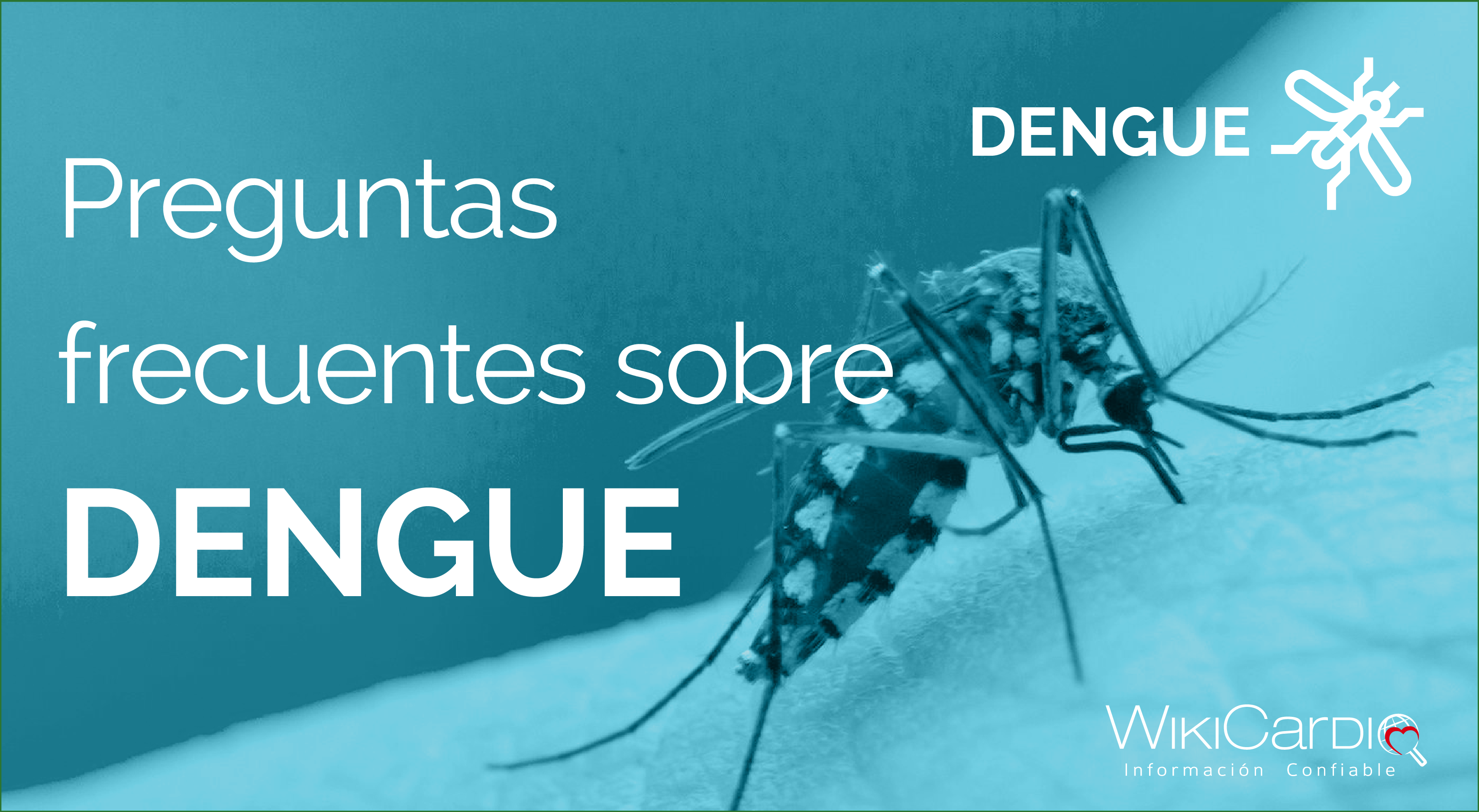 Dengue PREGUNTAS FRECUENTES-07.png