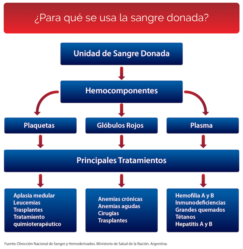 Img-14-junio-dia-mundial-del-donante-de-sangre-3.png