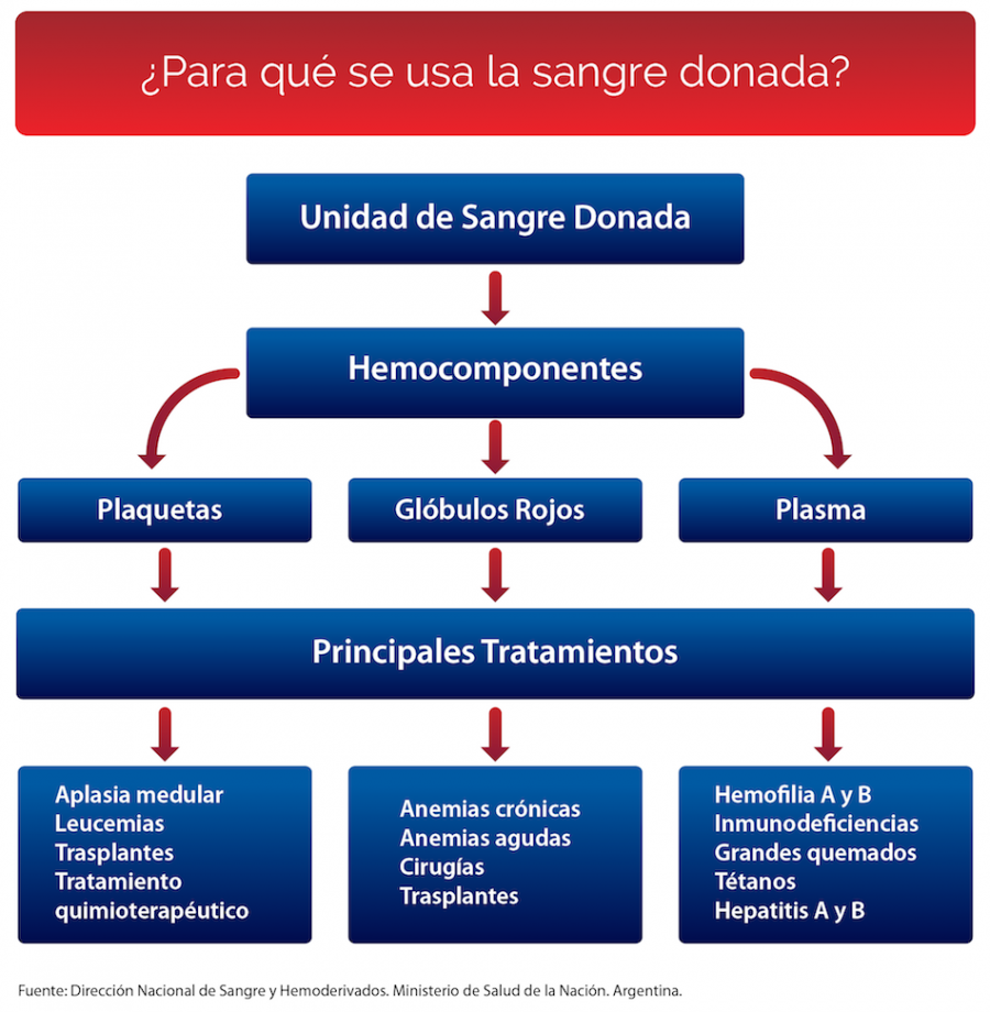 Img-14-junio-dia-mundial-del-donante-de-sangre-3.png